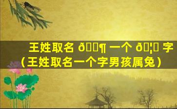 王姓取名 🐶 一个 🦆 字（王姓取名一个字男孩属兔）